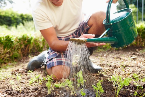 Residential soft landscaping project in Bow with turf and border planting