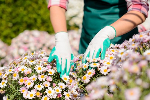 Landscaping team assessing a reported issue during a project review