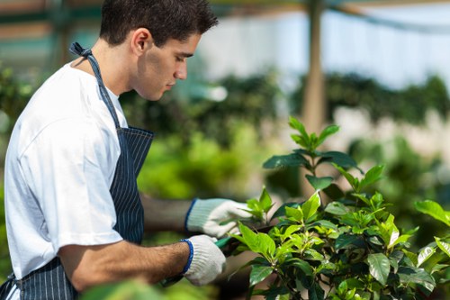 Liability and service terms for garden work