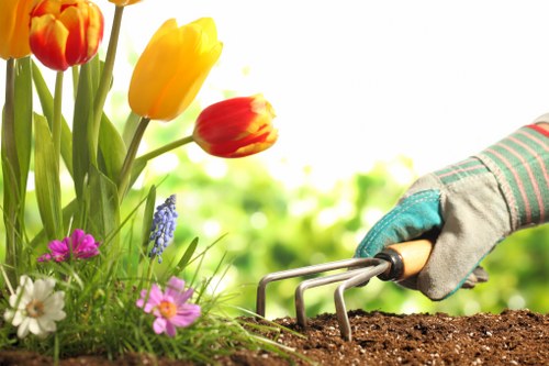 Landscaping features and planting design for a local Bow garden project