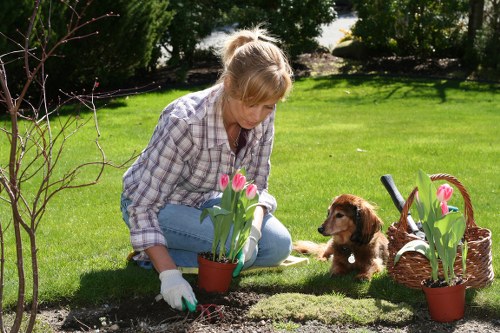 Garden landscaping materials and planning