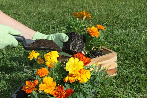 Professional handling of a landscaping complaint with clear communication