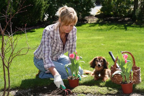 Local garden makeover work for a Bow property with limited access
